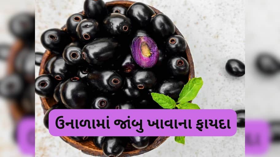 Jamun: ઉનાળામાં મળતું સ્વાદિષ્ટ ફળ સ્વાસ્થ્ય માટે જાદૂ, જાણો કયા કયા ગુણથી ભરપુર હોય છે જાંબુ