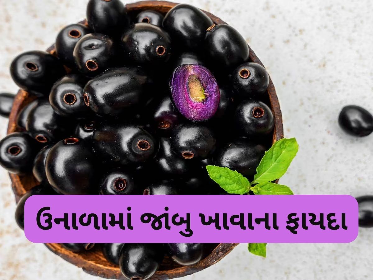 Jamun: ઉનાળામાં મળતું સ્વાદિષ્ટ ફળ સ્વાસ્થ્ય માટે જાદૂ, જાણો કયા કયા ગુણથી ભરપુર હોય છે જાંબુ Jamun: ઉનાળામાં મળતું સ્વાદિષ્ટ ફળ સ્વાસ્થ્ય માટે જાદૂ, જાણો કયા કયા ગુણથી ભરપુર હોય છે જાંબુ