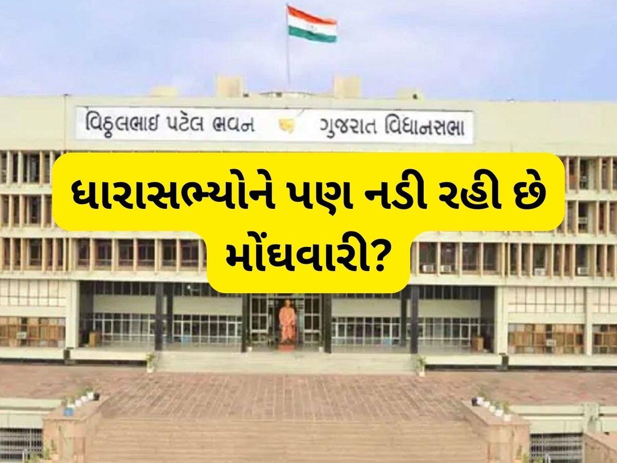 રાજ્યના ધારાસભ્યોને પણ નડી મોંઘવારી! વિધાનસભામાં કરી પગાર અને ભથ્થામાં વધારાની માગણી