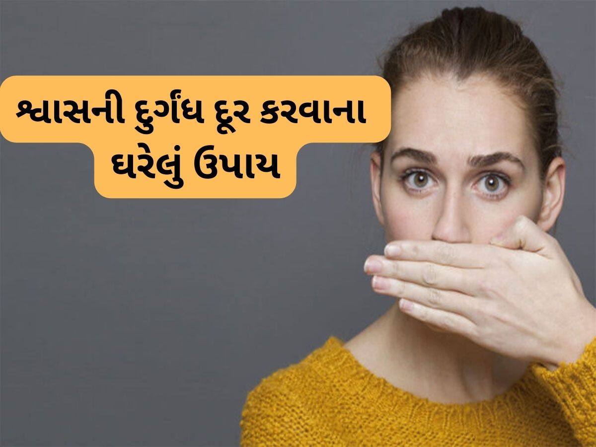 Bad Breath: સવારે મોં સાફ કર્યા પછી પણ વાસ આવે છે ? તો બ્રશ કર્યા પછી આ વસ્તુ ચાવીને ખાઈ લો