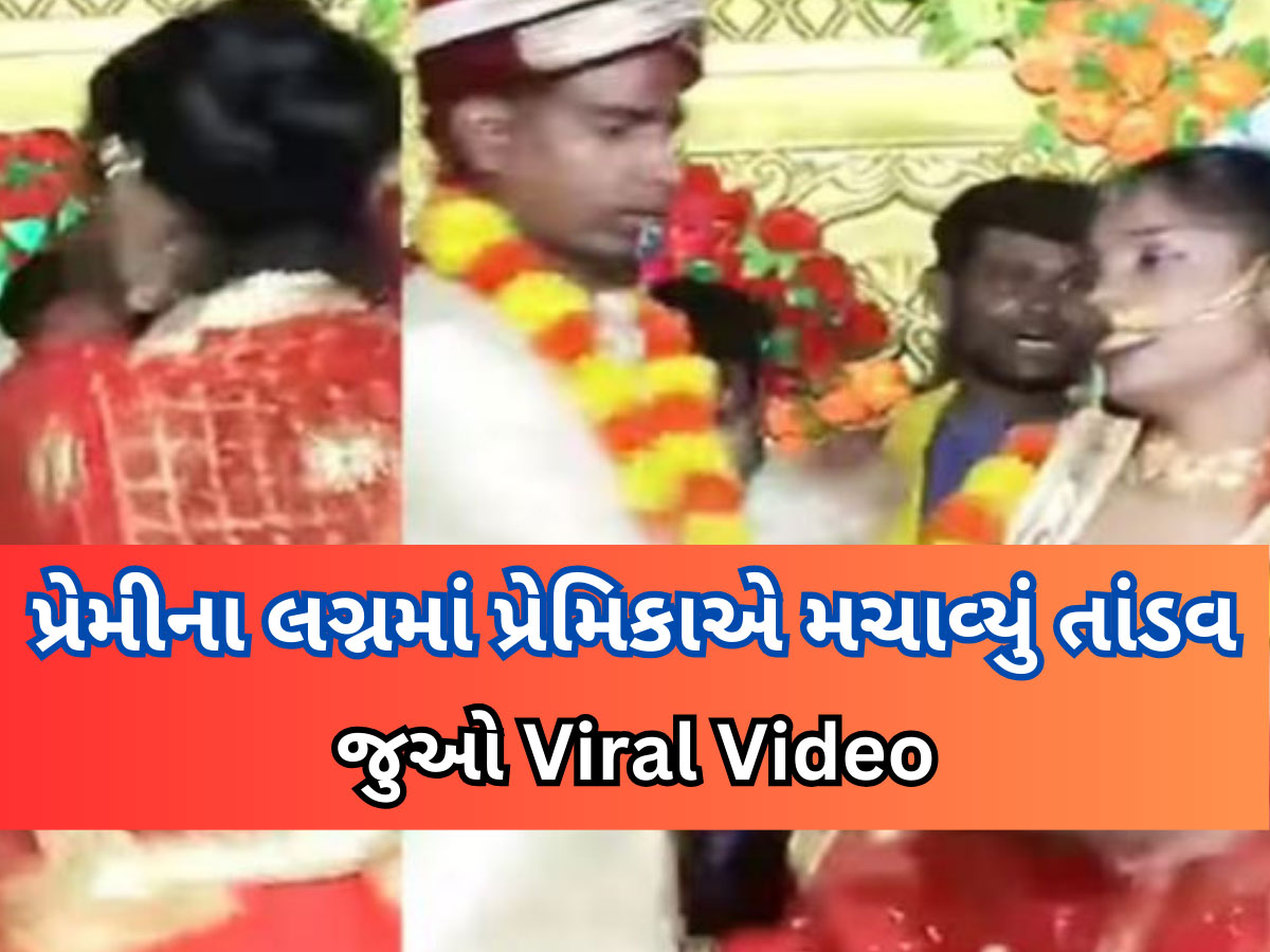 Viral Video: લગ્ન મંડપમાં અચાનક પહોંચી વરરાજાની પ્રેમિકા, સ્ટેજ પર દુલ્હનને ધીબવા લાગી, પછી જે થયું..જુઓ વીડિયો Viral Video: લગ્ન મંડપમાં અચાનક પહોંચી વરરાજાની પ્રેમિકા, સ્ટેજ પર દુલ્હનને ધીબવા લાગી, પછી જે થયું..જુઓ વીડિયો