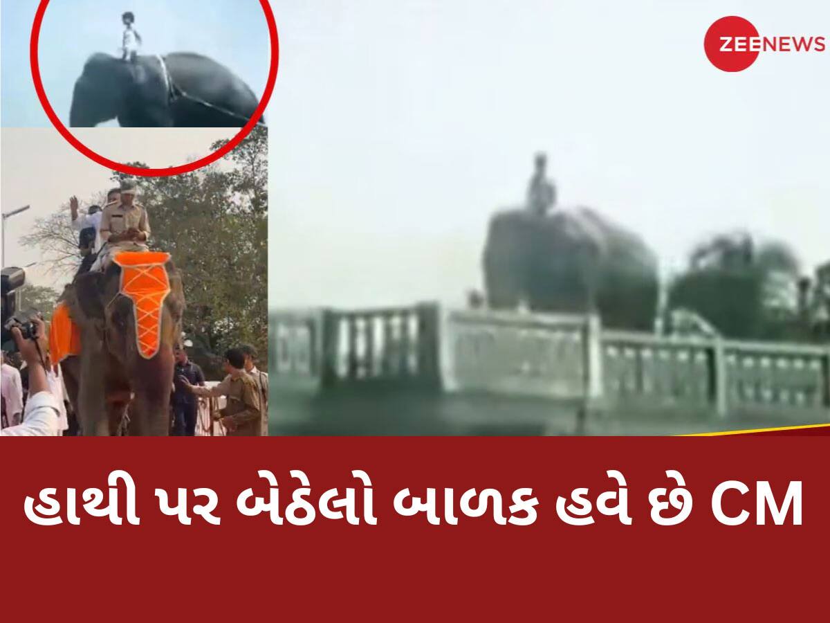 ફિલ્મમાં હાથી પર બેઠેલો આ છોકરો... આજે છે એક શક્તિશાળી રાજનેતા અને આ રાજ્યના મુખ્યમંત્રી