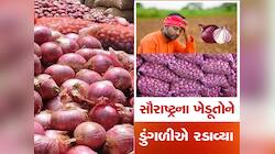 મહેનત કરી ઉગાડ્યું ને વેચવા ગયા તો ભાવ અડધા, આ ખેતી કરીને પછતાયા સૌરાષ્ટ્રના ખેડૂતો 