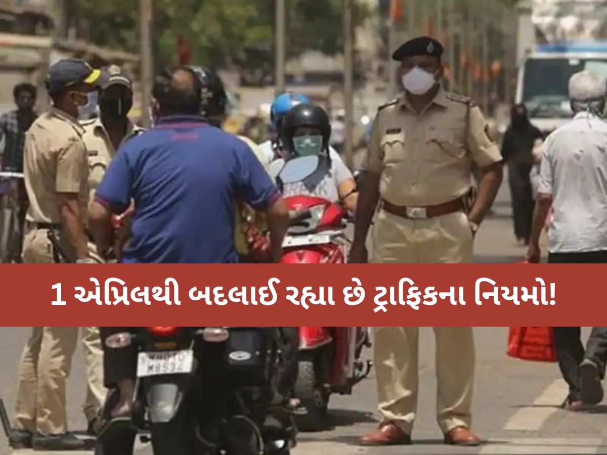 હવે જો તમે આ ભૂલ કરશો તો રદ થઈ જશે તમારું ડ્રાઈવિંગ લાઇસન્સ, જાણો શું હશે નવા નિયમો? હવે જો તમે આ ભૂલ કરશો તો રદ થઈ જશે તમારું ડ્રાઈવિંગ લાઇસન્સ, જાણો શું હશે નવા નિયમો?