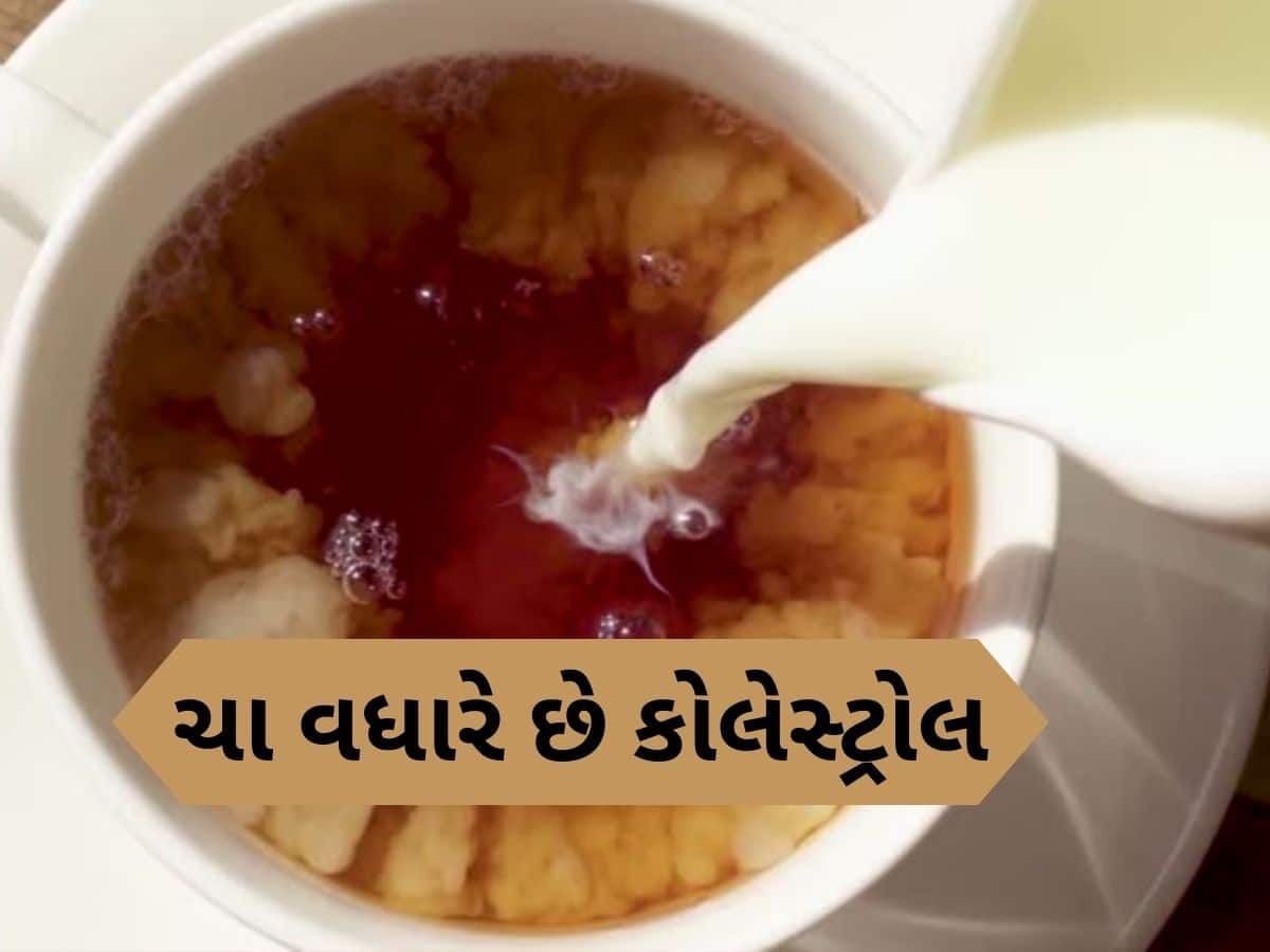 આ વસ્તુને ચામાં મિક્સ કરી ન પીવો, શરીરની નસોમાં જમા થઈ જશે બેડ કોલેસ્ટ્રોલ