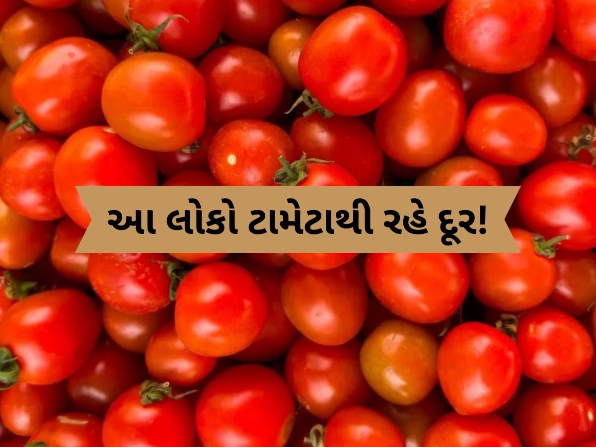 આ લોકોએ ટામેટાં બિલકુલ ન ખાવા જોઈએ, શરીરમાં થઈ શકે છે ભારે નુકસાન આ લોકોએ ટામેટાં બિલકુલ ન ખાવા જોઈએ, શરીરમાં થઈ શકે છે ભારે નુકસાન
