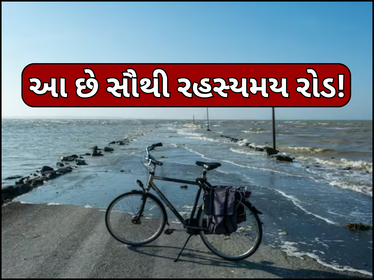 આ છે દુનિયાનો સૌથી રહસ્યમય રોડ! દિવસમાં માત્ર બે કલાક જ મળે છે જોવા, પછી થઈ જાય છે ગાયબ આ છે દુનિયાનો સૌથી રહસ્યમય રોડ! દિવસમાં માત્ર બે કલાક જ મળે છે જોવા, પછી થઈ જાય છે ગાયબ