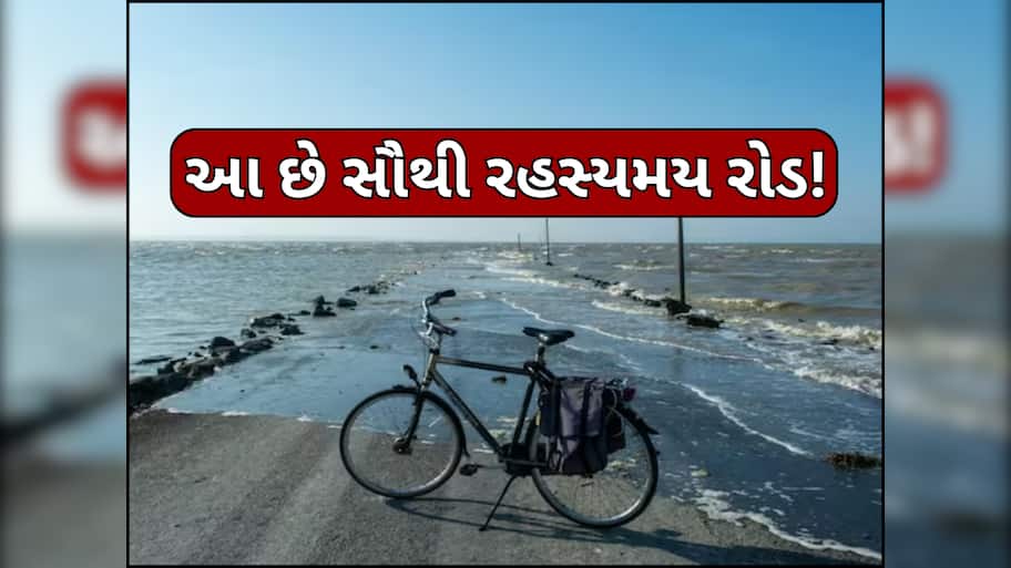 આ છે દુનિયાનો સૌથી રહસ્યમય રોડ! દિવસમાં માત્ર બે કલાક જ મળે છે જોવા, પછી થઈ જાય છે ગાયબ