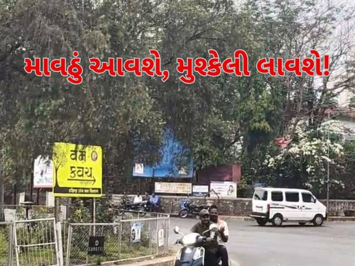 રાજ્યમાં જોવા મળી માવઠાની અસર, આ જિલ્લાઓમાં વાદળછાયું વાતાવરણ, અહીં પડ્યો વરસાદ