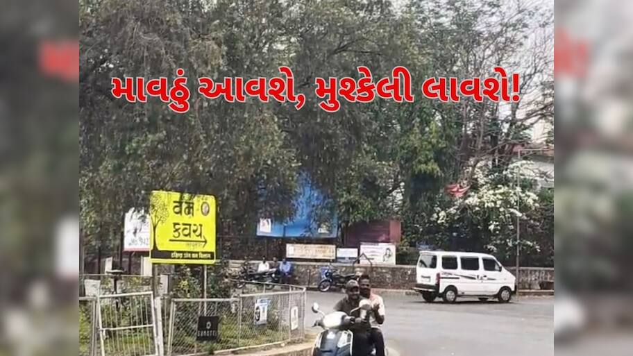 રાજ્યમાં જોવા મળી માવઠાની અસર, આ જિલ્લાઓમાં વાદળછાયું વાતાવરણ, અહીં પડ્યો વરસાદ