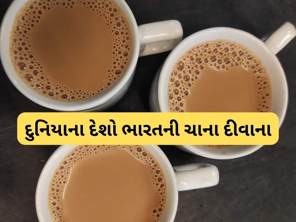  ચાની દુનિયામાં ભારતનો ડંકો, દુનિયાનો બીજો સૌથી મોટો નિકાસકાર બન્યો