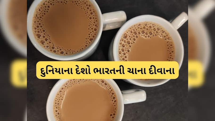  ચાની દુનિયામાં ભારતનો ડંકો, દુનિયાનો બીજો સૌથી મોટો નિકાસકાર બન્યો
