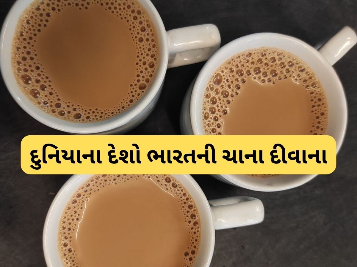 ચાની દુનિયામાં ભારતનો ડંકો, દુનિયાનો બીજો સૌથી મોટો નિકાસકાર બન્યો ચાની દુનિયામાં ભારતનો ડંકો, દુનિયાનો બીજો સૌથી મોટો નિકાસકાર બન્યો