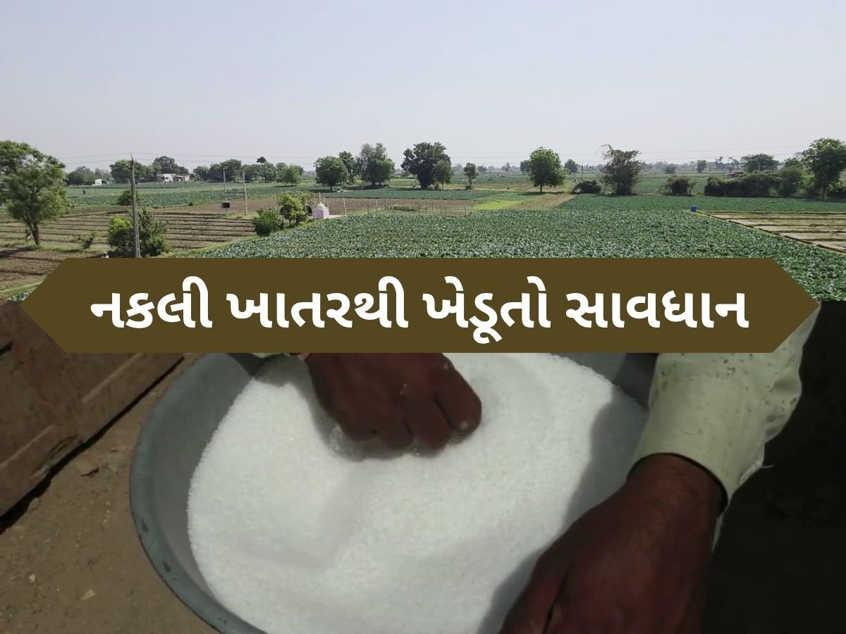 હવે અન્નદાતાનો પણ છેતરવાનો કારસો, ખાતરના 1262માંથી 37 નમૂના ફેલ હવે અન્નદાતાનો પણ છેતરવાનો કારસો, ખાતરના 1262માંથી 37 નમૂના ફેલ