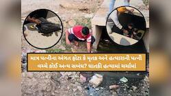 પત્નીના અંગત ફોટા, 4 લાખની લોન...આરી વડે મિત્રના 9 ટુકડા, સ્ત્રી વેશ ધારણ કરી નિકાલ