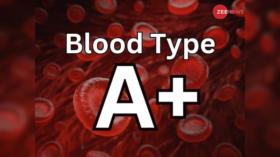 A+ બ્લડ ગ્રુપના લોકો કેવા હોય છે? તેનામાં છુપાયેલી હોય છે આ 5 ચોંકાવનારી ખુબીઓ