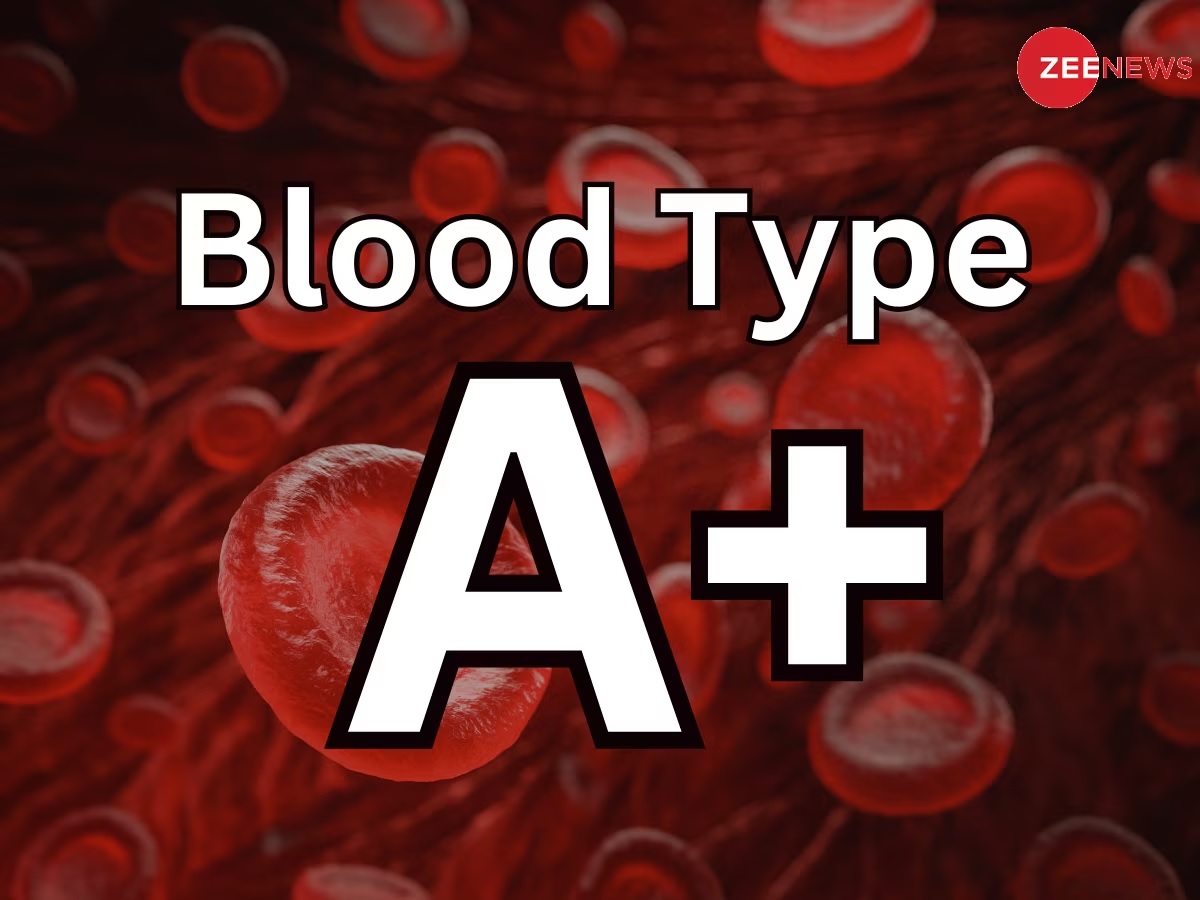 A+ બ્લડ ગ્રુપના લોકો કેવા હોય છે? તેનામાં છુપાયેલી હોય છે આ 5 ચોંકાવનારી ખુબીઓ A+ બ્લડ ગ્રુપના લોકો કેવા હોય છે? તેનામાં છુપાયેલી હોય છે આ 5 ચોંકાવનારી ખુબીઓ