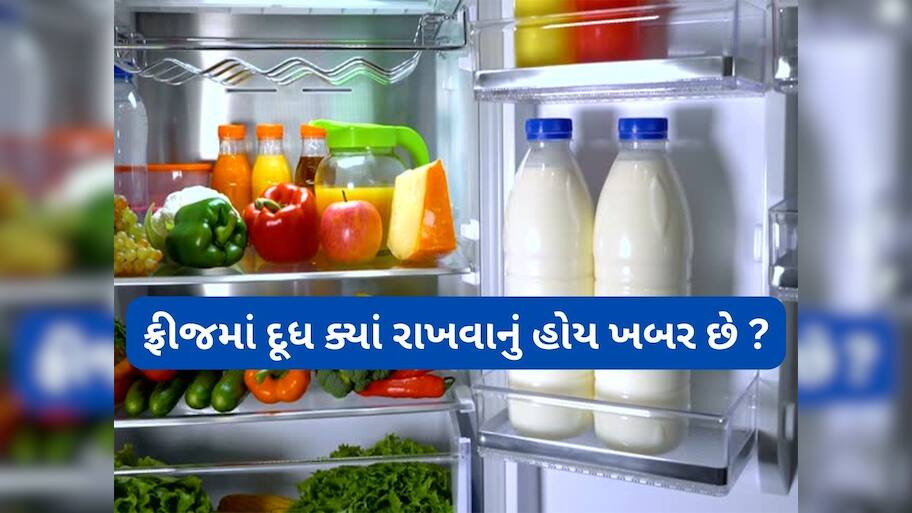 Milk Storage Tips: મોટાભાગના લોકો ફ્રીજમાં દૂધ રાખવામાં કરે છે ભુલ, જાણો ફ્રીજની કઈ જગ્યા દૂધ માટે બનેલી છે