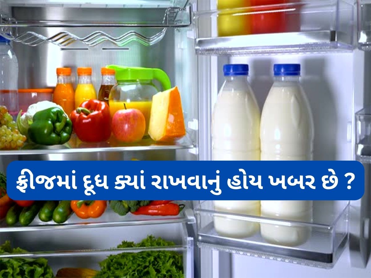 Milk Storage Tips: મોટાભાગના લોકો ફ્રીજમાં દૂધ રાખવામાં કરે છે ભુલ, જાણો ફ્રીજની કઈ જગ્યા દૂધ માટે બનેલી છે Milk Storage Tips: મોટાભાગના લોકો ફ્રીજમાં દૂધ રાખવામાં કરે છે ભુલ, જાણો ફ્રીજની કઈ જગ્યા દૂધ માટે બનેલી છે