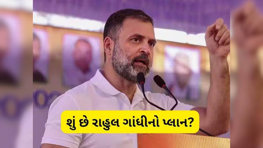 કોંગ્રેસમાં નવા-જૂનીના એંધાણ? ગુજરાતના 33 જિલ્લા અને 10 શહેર પ્રમુખોને દિલ્હીનું તેડુ,  શું છે રાહુલ ગાંધીનો આગામી પ્લાન?