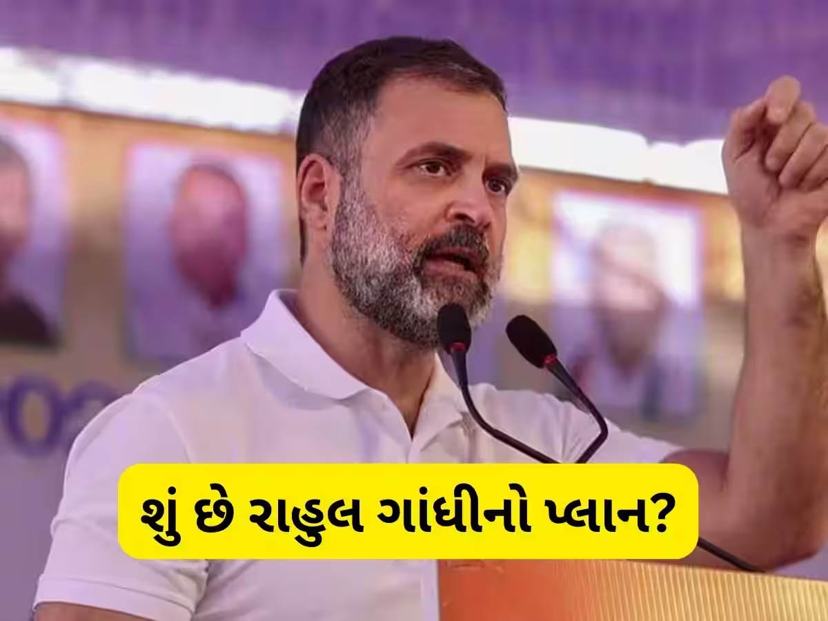 કોંગ્રેસમાં નવા-જૂનીના એંધાણ? ગુજરાતના 33 જિલ્લા અને 10 શહેર પ્રમુખોને દિલ્હીનું તેડુ, શું છે રાહુલ ગાંધીનો આગામી પ્લાન? કોંગ્રેસમાં નવા-જૂનીના એંધાણ? ગુજરાતના 33 જિલ્લા અને 10 શહેર પ્રમુખોને દિલ્હીનું તેડુ, શું છે રાહુલ ગાંધીનો આગામી પ્લાન?