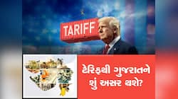 ટ્રમ્પનું ટેરિફ તોફાન લાવશે, ગુજરાતના આ ઉદ્યોગોમાં લાવશે તબાહી, એક્સપર્ટસની વાત