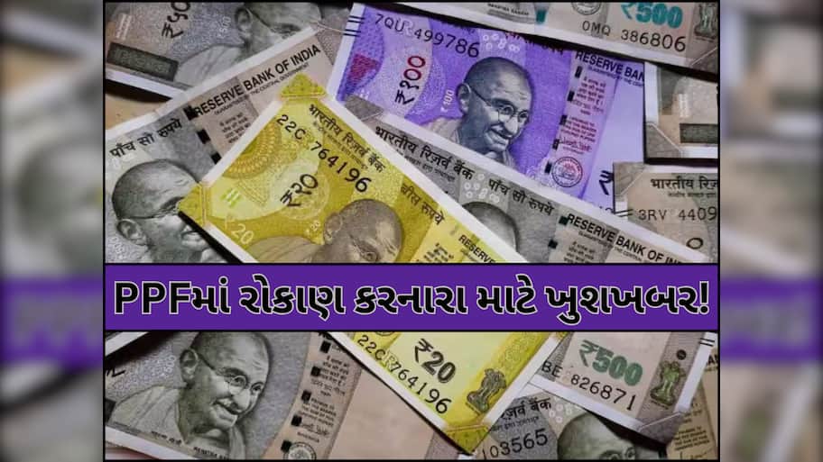 PPFમાં રોકાણ કરનારને સરકારની મોટી ભેટ, હવે ફ્રીમાં થશે આ કામ; નાણામંત્રીએ જણાવી અંદરની વાત!