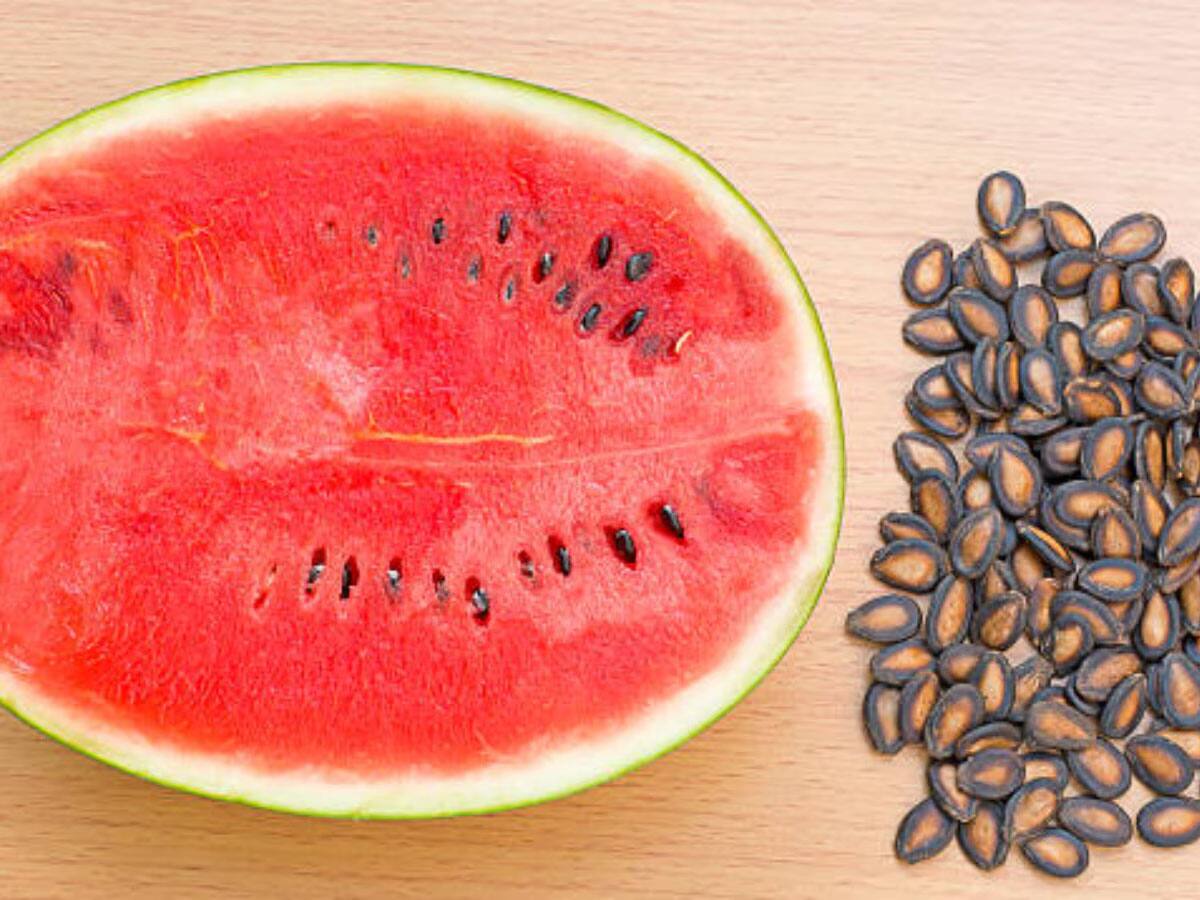Watermelon Seeds: કચરો સમજી તરબૂચના બીને ફેંકતા નહીં, હાર્ટ પ્રોબ્લેમ, વધારે વજનથી લઈ અનેક તકલીફમાં ઉપયોગી સાબિત થશે