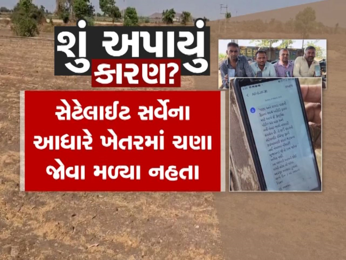 જગતના તાત પર આવી તંત્ર સર્જિત આફત! રજિસ્ટ્રેશન કરાવ્યું પણ ટેકાના ભાવે ચણા ખરીદવા તંત્ર તૈયાર નહીં? જગતના તાત પર આવી તંત્ર સર્જિત આફત! રજિસ્ટ્રેશન કરાવ્યું પણ ટેકાના ભાવે ચણા ખરીદવા તંત્ર તૈયાર નહીં?