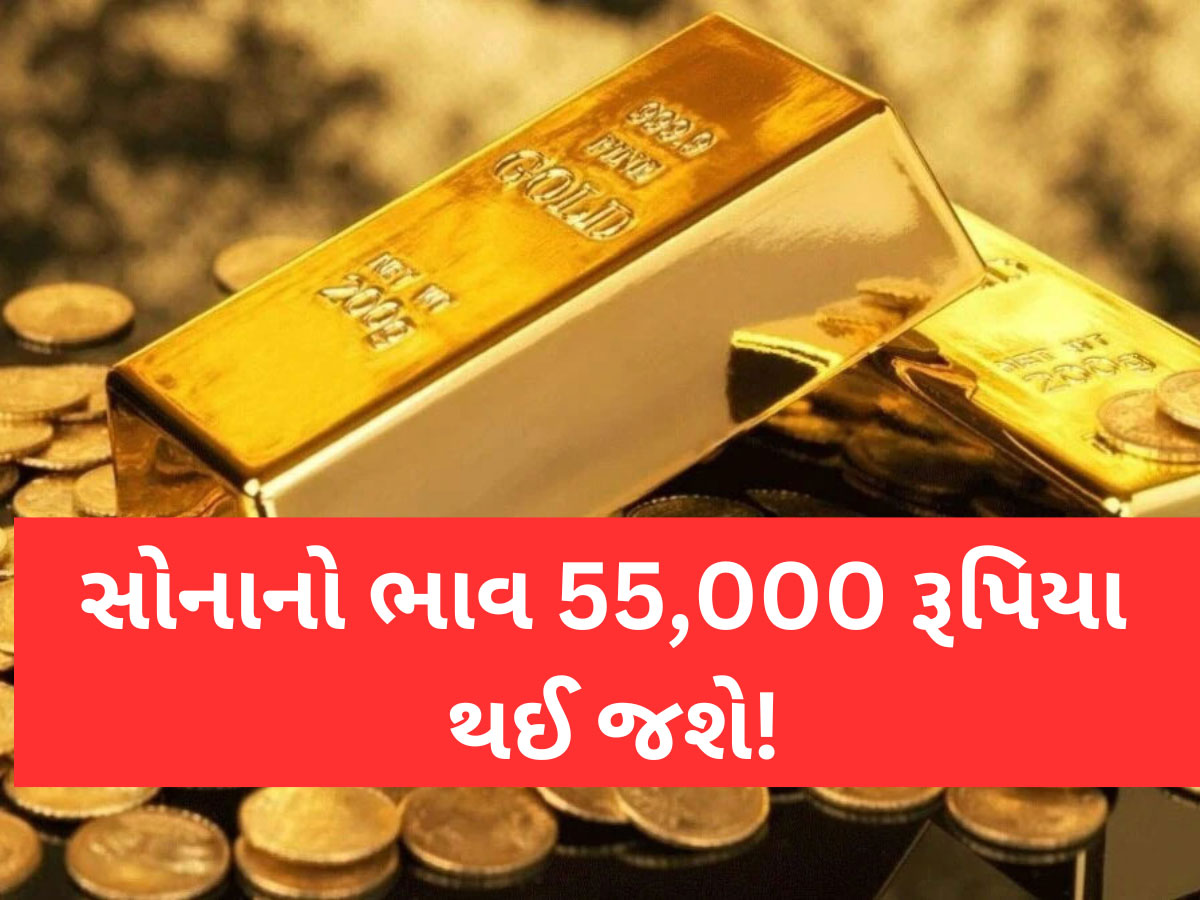 Gold Price Prediction: સોનાનો ભાવમાં તોતિંગ 40 ટકા સુધીનો થઈ શકે છે ઘટાડો, સીધો 55,000 થઈ જશે ભાવ! Gold Price Prediction: સોનાનો ભાવમાં તોતિંગ 40 ટકા સુધીનો થઈ શકે છે ઘટાડો, સીધો 55,000 થઈ જશે ભાવ!