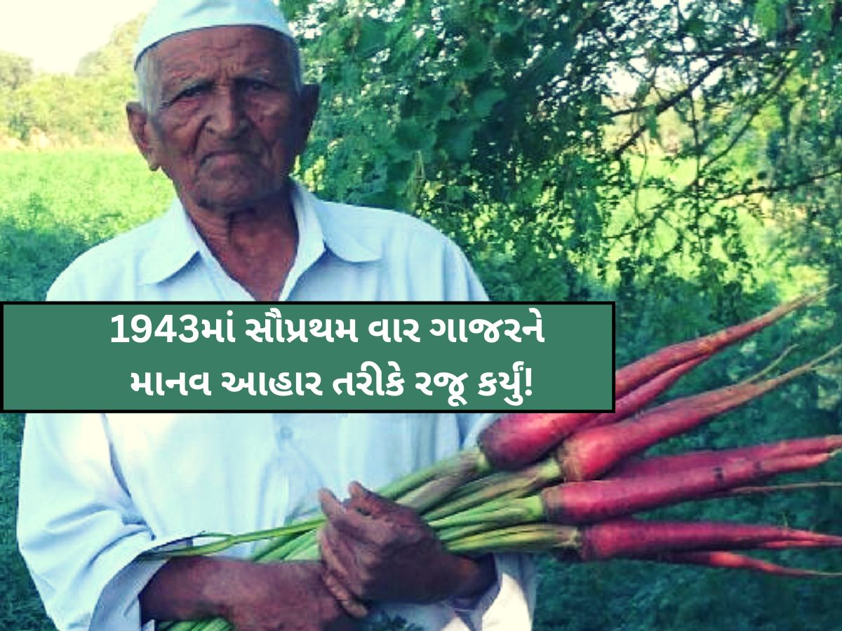 કોણ છે ગુજરાતમાં ગાજરની ખેતીના પ્રણેતા? જાણો 95 વર્ષીય ખેડૂતની સફળ ગાથા, પદ્મશ્રી સહિત અનેક એવોર્ડથી સમ્માનિત કોણ છે ગુજરાતમાં ગાજરની ખેતીના પ્રણેતા? જાણો 95 વર્ષીય ખેડૂતની સફળ ગાથા, પદ્મશ્રી સહિત અનેક એવોર્ડથી સમ્માનિત