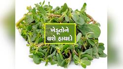 ગરમીમાં ખાલી પડેલા ખેતરમાં 20 રૂપિયાના બીજ વાવો, જેટલું કાપતા જશો એટલું ઉગતું જશે 