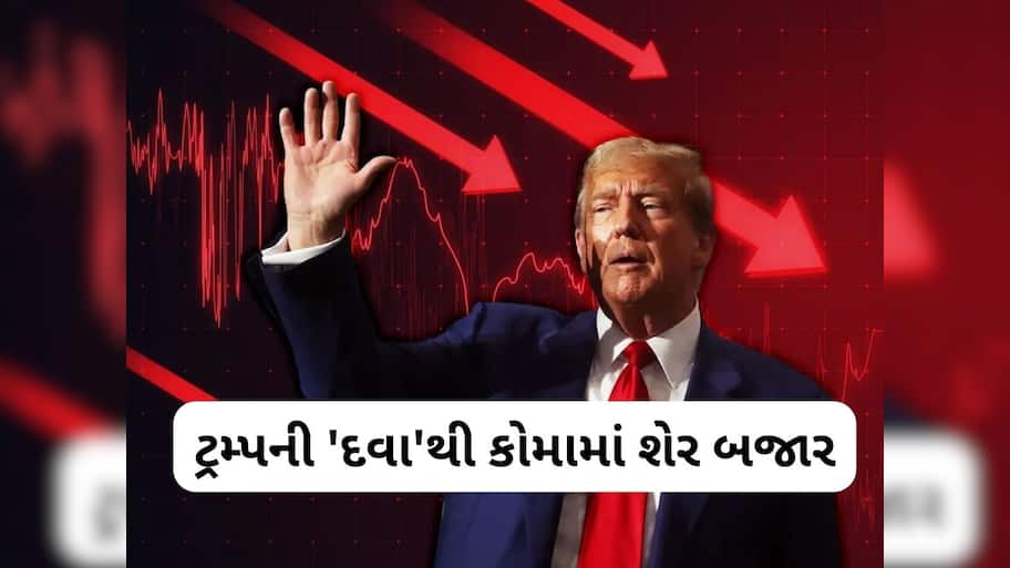 શેર બજારમાં હાહાકાર! આ 4 મોટા કારણોથી બજાર થયું ક્રેશ, જાણો આગળ શું થશે?
