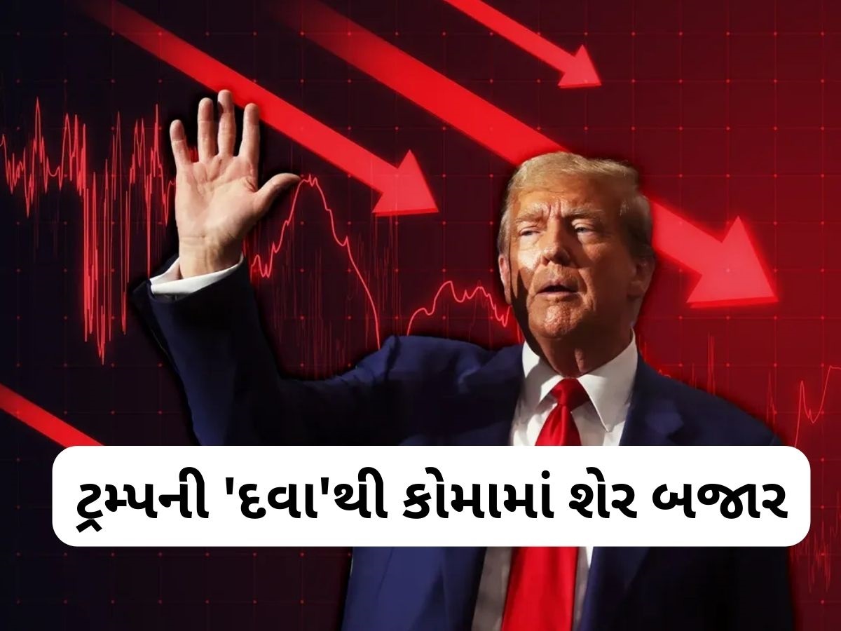 શેર બજારમાં હાહાકાર! આ 4 મોટા કારણોથી બજાર થયું ક્રેશ, જાણો આગળ શું થશે? શેર બજારમાં હાહાકાર! આ 4 મોટા કારણોથી બજાર થયું ક્રેશ, જાણો આગળ શું થશે?