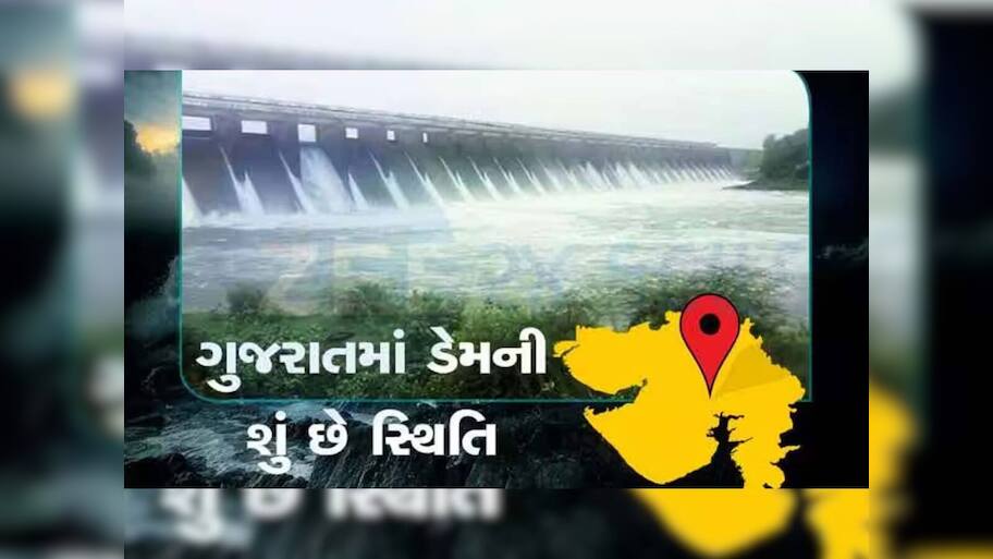 આ ઉનાળામાં નહિ રહે પાણીની તંગી, છલોછલ ભરેલા છે ગુજરાતના ડેમ, સરકારે આપ્યો રિપોર્ટ 