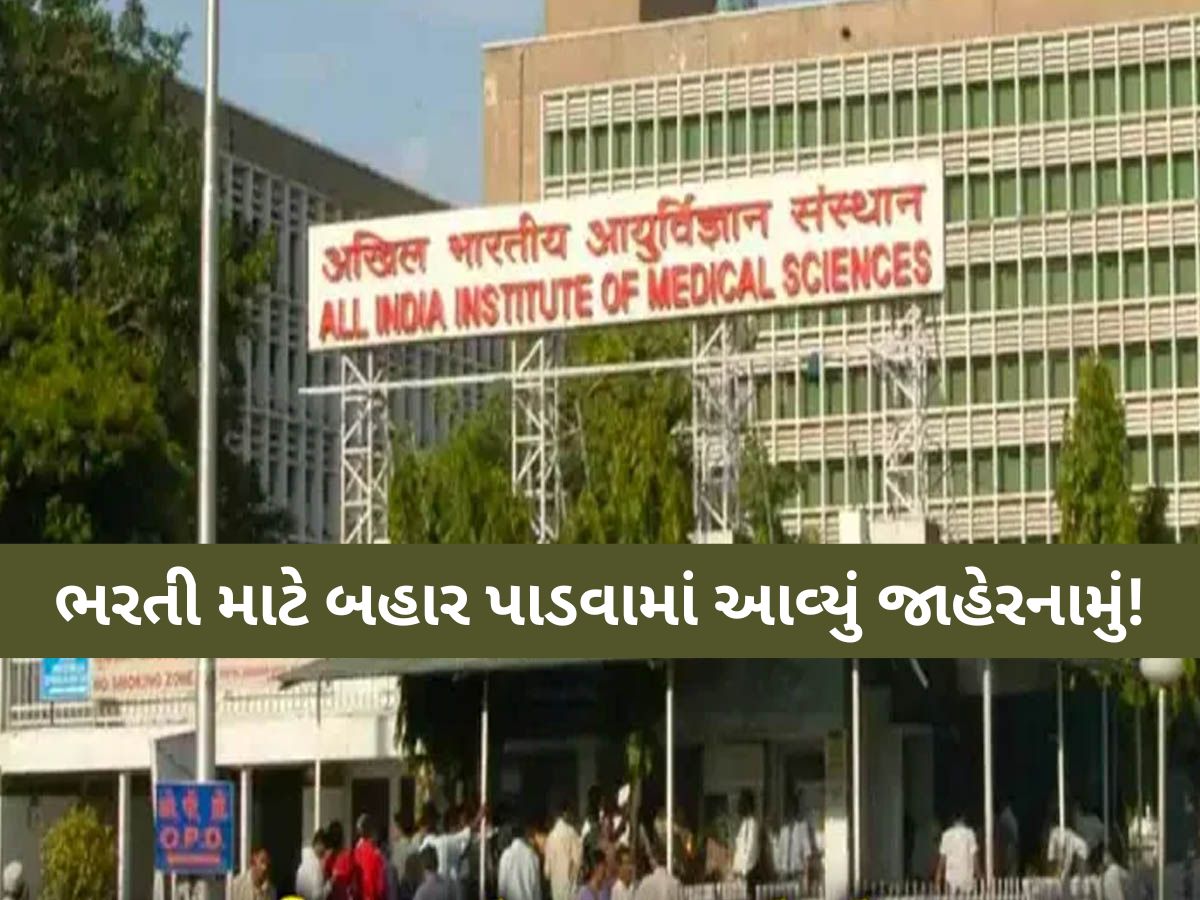 AIIMSમાં નોકરી કરવાની સોનેરી તક; 2 લાખનો પગાર, 199 જગ્યા ખાલી, જાણો અરજી કરવાની પ્રોસેસ AIIMSમાં નોકરી કરવાની સોનેરી તક; 2 લાખનો પગાર, 199 જગ્યા ખાલી, જાણો અરજી કરવાની પ્રોસેસ