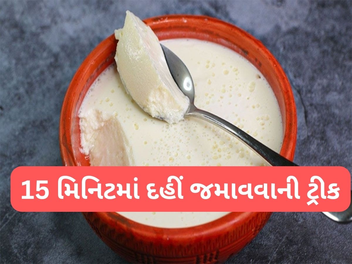 Curd : બસ 15 થી 20 મિનિટમાં જામી જાશે દહીં, ઈમરજન્સી હોય ત્યારે આ સ્ટેપ ફોલો કરી દહીં જમાવજો Curd : બસ 15 થી 20 મિનિટમાં જામી જાશે દહીં, ઈમરજન્સી હોય ત્યારે આ સ્ટેપ ફોલો કરી દહીં જમાવજો
