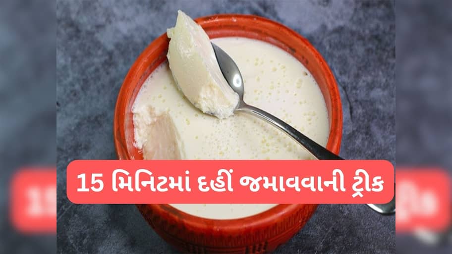 Curd : બસ 15 થી 20 મિનિટમાં જામી જાશે દહીં, ઈમરજન્સી હોય ત્યારે આ સ્ટેપ ફોલો કરી દહીં જમાવજો
