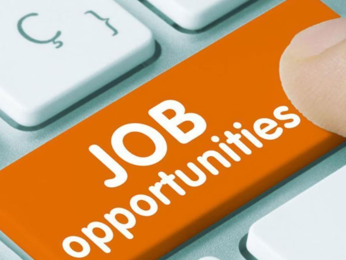 Government Job: સરકારી નોકરી માટે કરો છો તૈયારી? આ 6 સંસ્થાનોમાં નીકળી છે બંપર ભરતી, જાણો વિગતો