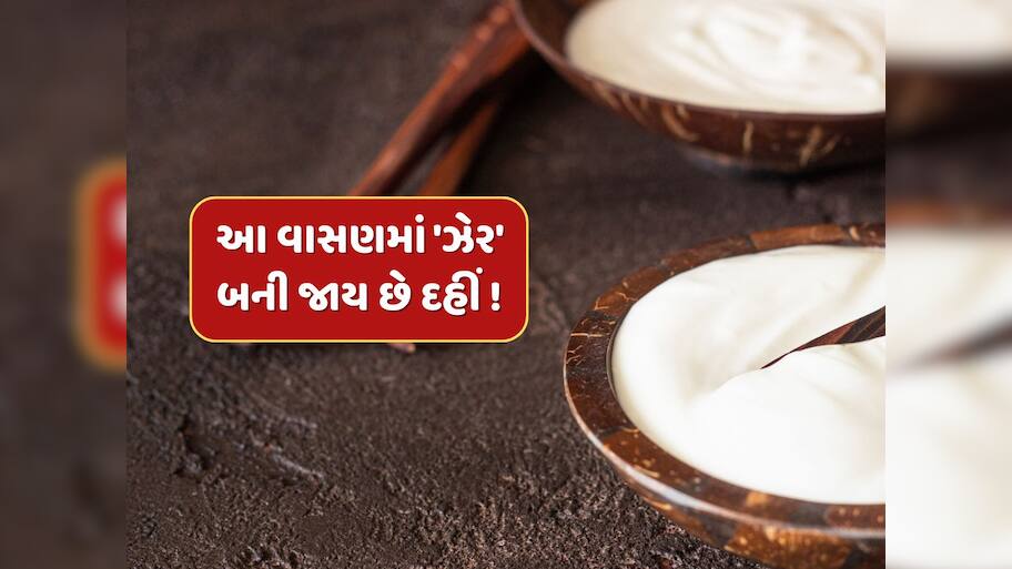 ભૂલથી પણ આ વાસણમાં ના જમાવો દહીં, બની જાય છે ઝેર ! સ્વાસ્થ્ય પર પડશે ખરાબ અસર 