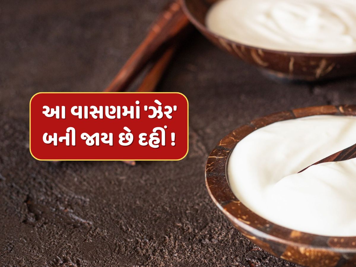 ભૂલથી પણ આ વાસણમાં ના જમાવો દહીં, બની જાય છે ઝેર ! સ્વાસ્થ્ય પર પડશે ખરાબ અસર ભૂલથી પણ આ વાસણમાં ના જમાવો દહીં, બની જાય છે ઝેર ! સ્વાસ્થ્ય પર પડશે ખરાબ અસર