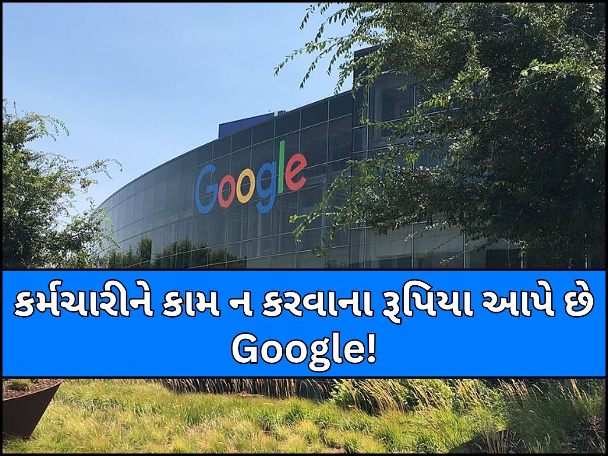 હવે કર્મચારીઓને કંઈ પણ ન કરવા માટે રૂપિયા આપી રહ્યું છે Google, આખરે કેમ... શું છે આમાં ફાયદો?