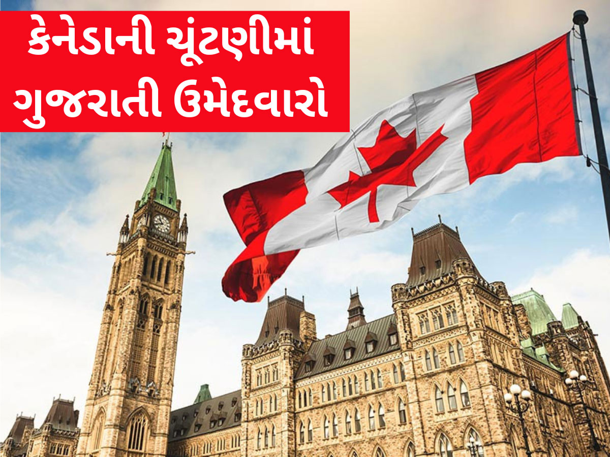 Canada News: કેનેડાના રાજકારણમાં પાટીદારોની એન્ટ્રી, આ વખતે ચૂંટણીમાં પહેલીવાર ગુજરાતી ઉમેદવારો મેદાનમાં Canada News: કેનેડાના રાજકારણમાં પાટીદારોની એન્ટ્રી, આ વખતે ચૂંટણીમાં પહેલીવાર ગુજરાતી ઉમેદવારો મેદાનમાં