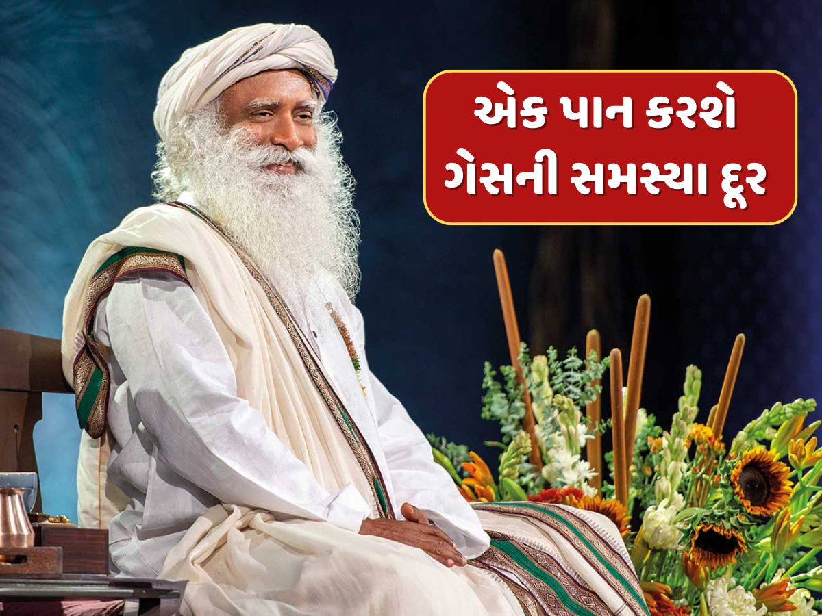 આ એક પાન ગેસની સમસ્યા કરશે દૂર...સદગુરુએ જણાવ્યા તેના ફાયદા આ એક પાન ગેસની સમસ્યા કરશે દૂર...સદગુરુએ જણાવ્યા તેના ફાયદા