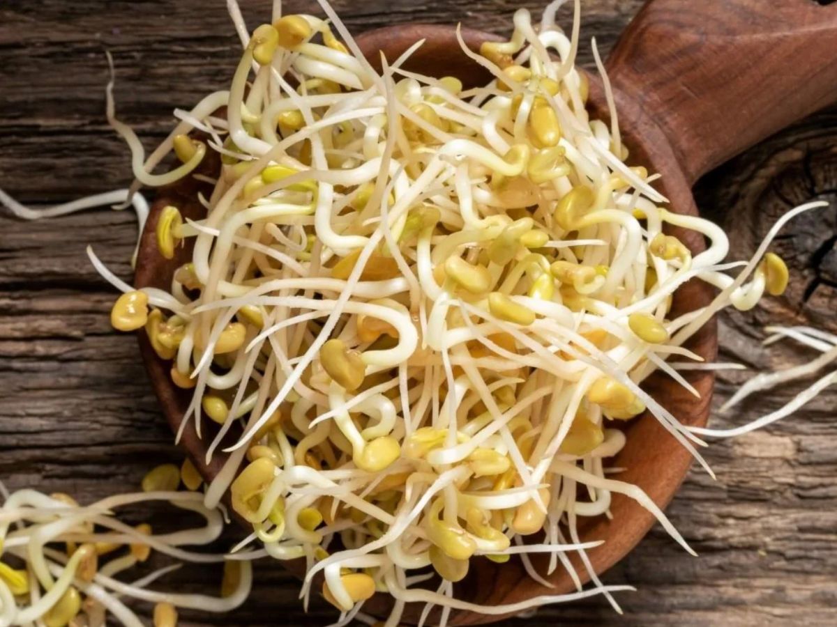 મેથી દાણા