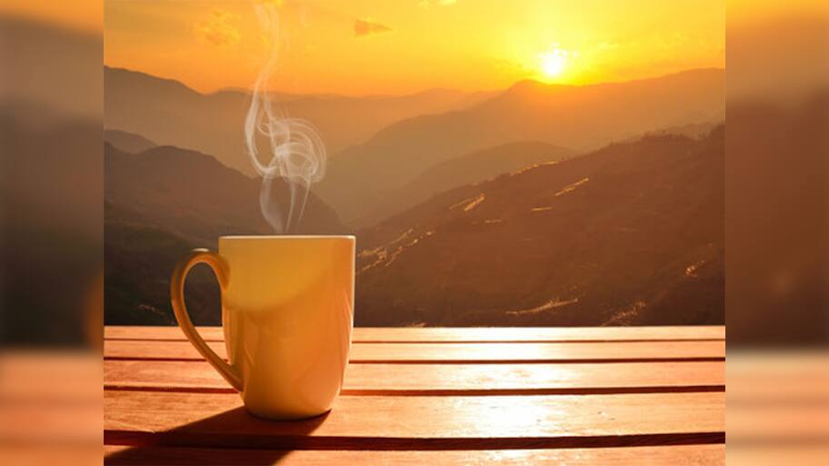Weight Loss Tea: સવારની ચામાં આ મસાલો ઉમેરી દો, ઝડપથી ઘટશે પેટની ચરબી, સાથે થશે આ 4 ફાયદા