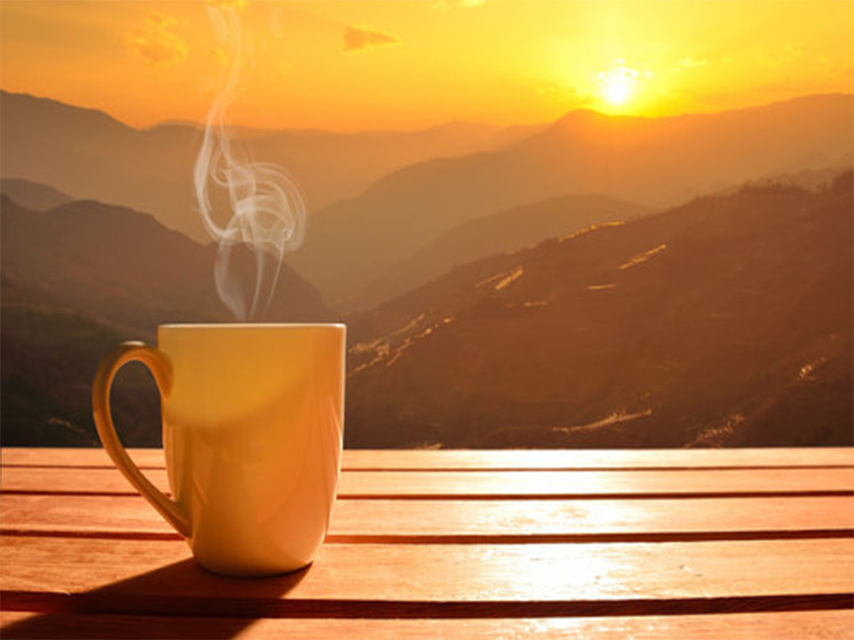 Weight Loss Tea: સવારની ચામાં આ મસાલો ઉમેરી દો, ઝડપથી ઘટશે પેટની ચરબી, સાથે થશે આ 4 ફાયદા Weight Loss Tea: સવારની ચામાં આ મસાલો ઉમેરી દો, ઝડપથી ઘટશે પેટની ચરબી, સાથે થશે આ 4 ફાયદા