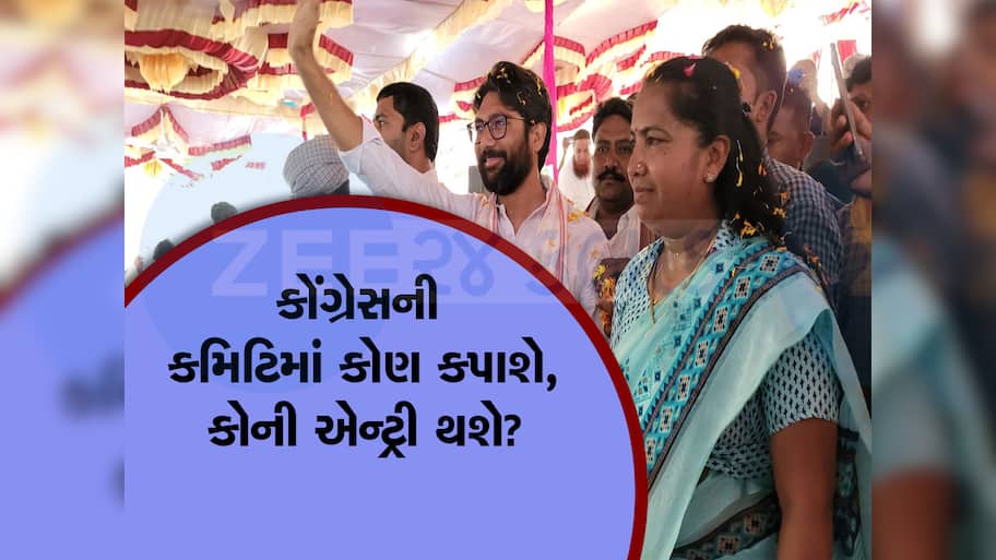 ગુજરાત કોંગ્રેસમાં મોટી ઉથલપાથલ થશે, રાહુલ ગાંધી ફરી ગુજરાત આવશે, કરશે નવી જાહેરાત