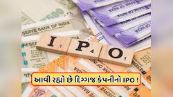 IPO લાવવાનો પ્લાન બનાવી રહી છે આ કંપની, એમેઝોને કર્યું છે કંપનીમાં પૈસાનું રોકાણ