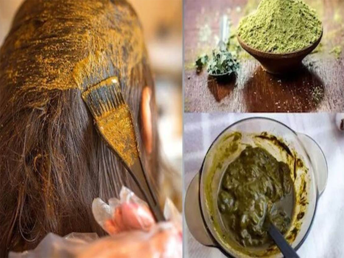 Mehndi Side Effects: સફેદ વાળ છુપાવવા વારંવાર મહેંદીનો ઉપયોગ નુકસાનકારક, વાળ થઈ જશે રુક્ષ અને પાતળા Mehndi Side Effects: સફેદ વાળ છુપાવવા વારંવાર મહેંદીનો ઉપયોગ નુકસાનકારક, વાળ થઈ જશે રુક્ષ અને પાતળા